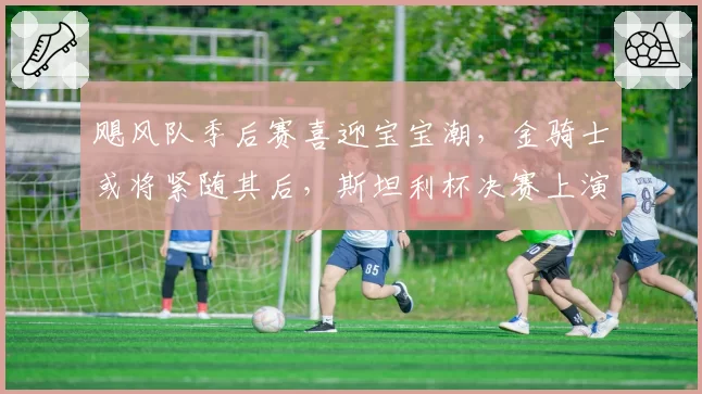 飓风队季后赛喜迎宝宝潮，金骑士或将紧随其后，斯坦利杯决赛上演温馨插曲