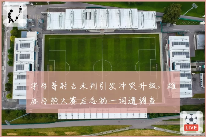 字母哥肘击未判引发冲突升级，雄鹿与热火赛后各执一词遭调查