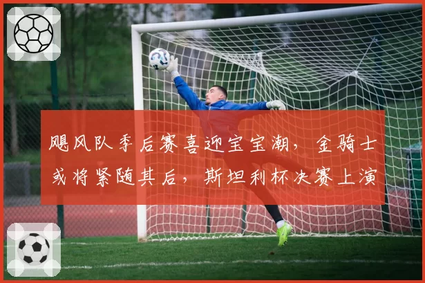 飓风队季后赛喜迎宝宝潮，金骑士或将紧随其后，斯坦利杯决赛上演温馨插曲
